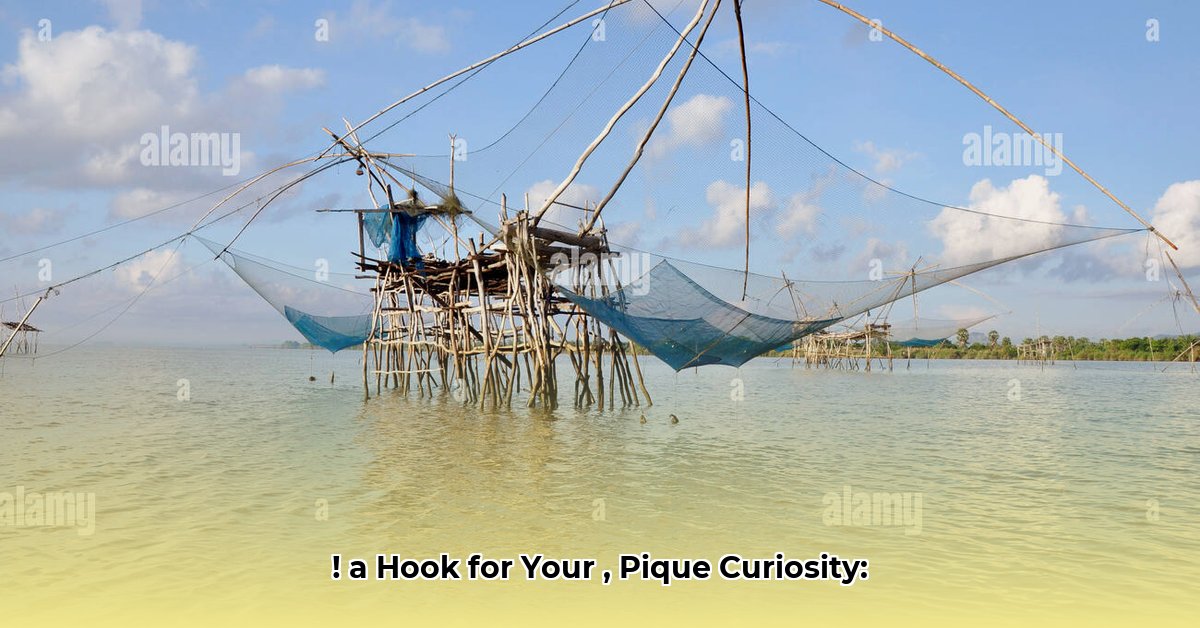 net-worth-of-mary-lou-retton